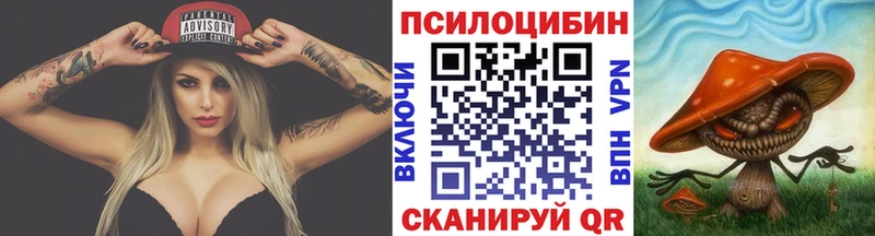 нарко площадка как зайти  Дыгулыбгей  Галлюциногенные грибы Magic Shrooms  дарнет шоп 